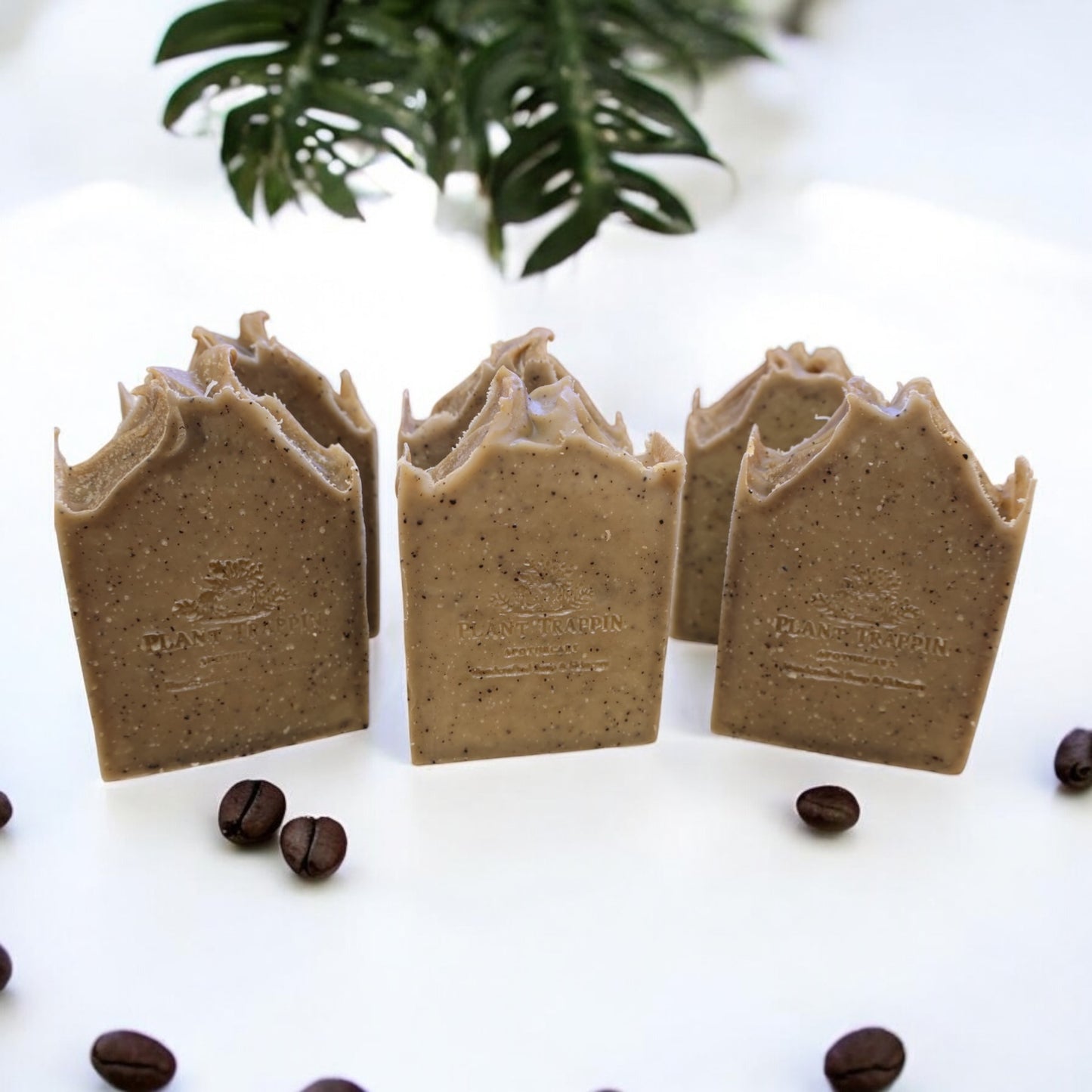 Coffee Scrub Bar- Buff & glow ☕ | Ground coffee + gentle exfoliation